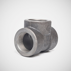 Forged Fittings