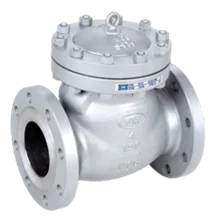 check valve