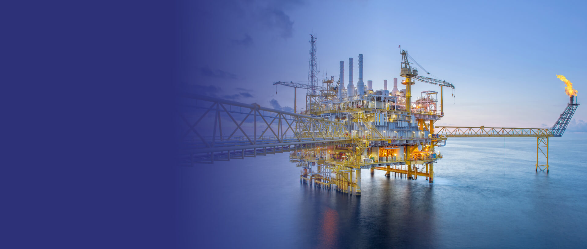 Landing-Page-Industries-Focus-Banner